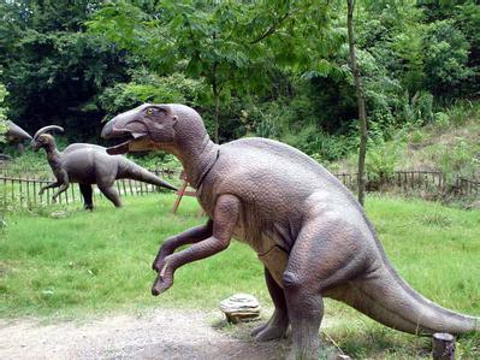 木化石恐龙园旅游景点图片