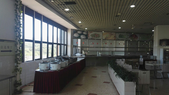 云南大学-第1食堂旅游景点图片