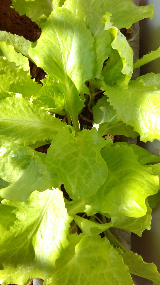 东营市历史博物馆