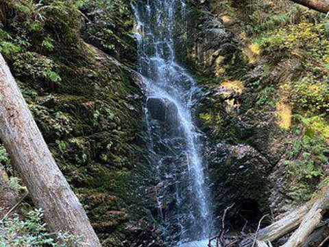 Berry Creek Falls旅游景点图片