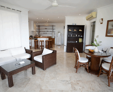 Sea Shell Collection by Argonauta Boracay