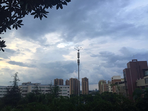 徐特立公园旅游景点图片