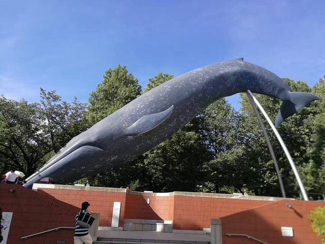 辰巳之森海滨公园