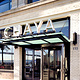 Chaya Brasserie SF