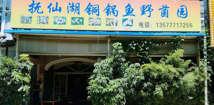 抚仙湖铜锅鱼野菌园旅游景点图片