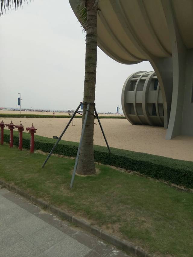 山海渔庄(十年老字号店)