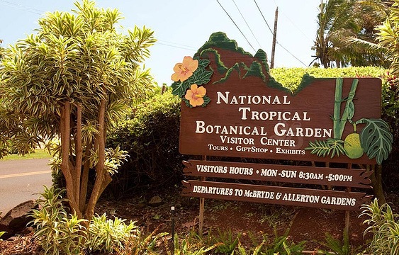 国家热带植物园旅游景点图片