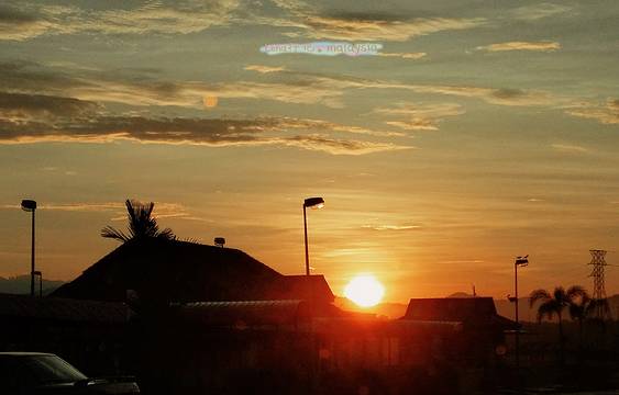 金马伦高原薰衣草园