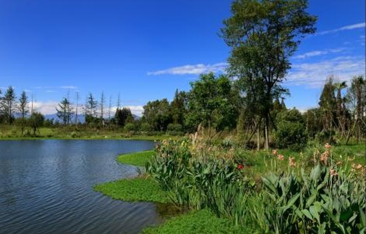 嘉裕羊马湿地公园