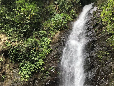 奇潘地蝴蝶園旅游景点图片