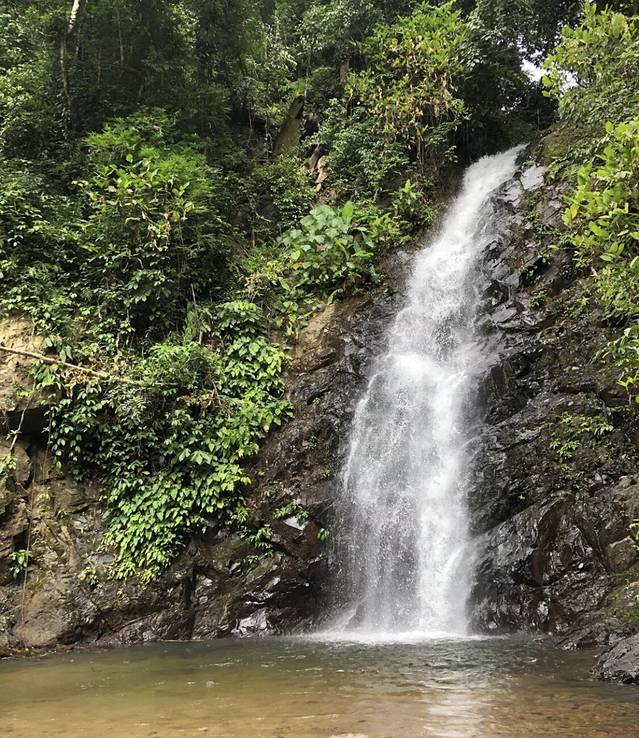 Kinabatangan Jungle Camp