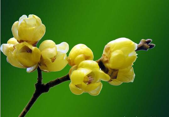 宁安市马骏纪念馆