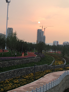 淄川体育公园