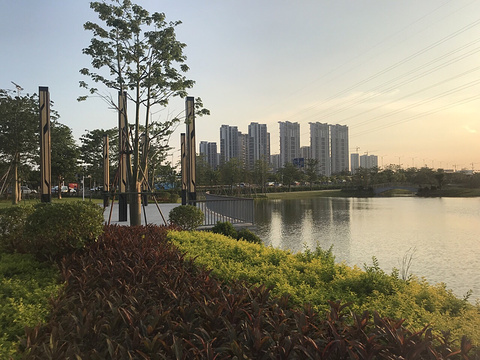 海湾湿地生态公园旅游景点图片