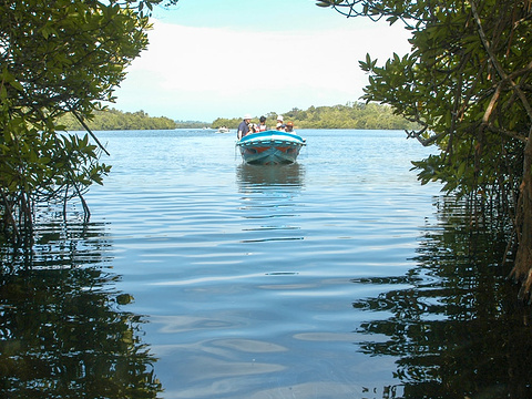 Muthurajawela Marsh旅游景点图片