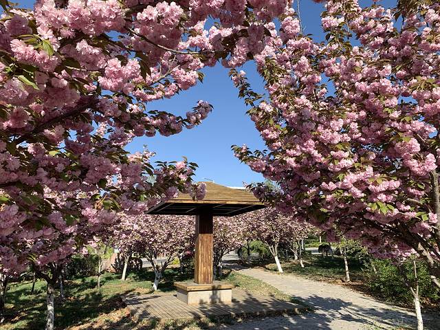 山东旅游职业学院