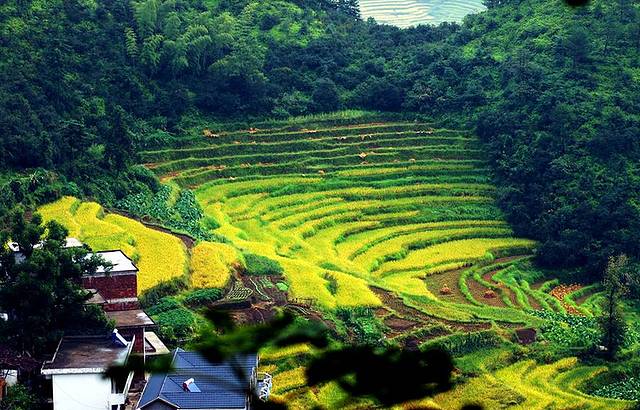 灵山景区梯田