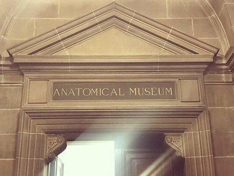 解剖博物馆旅游景点图片