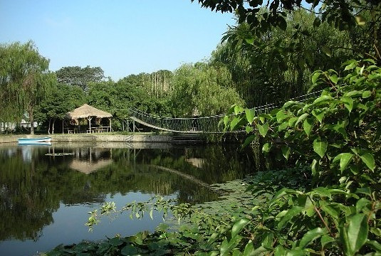 张林园旅游景点图片
