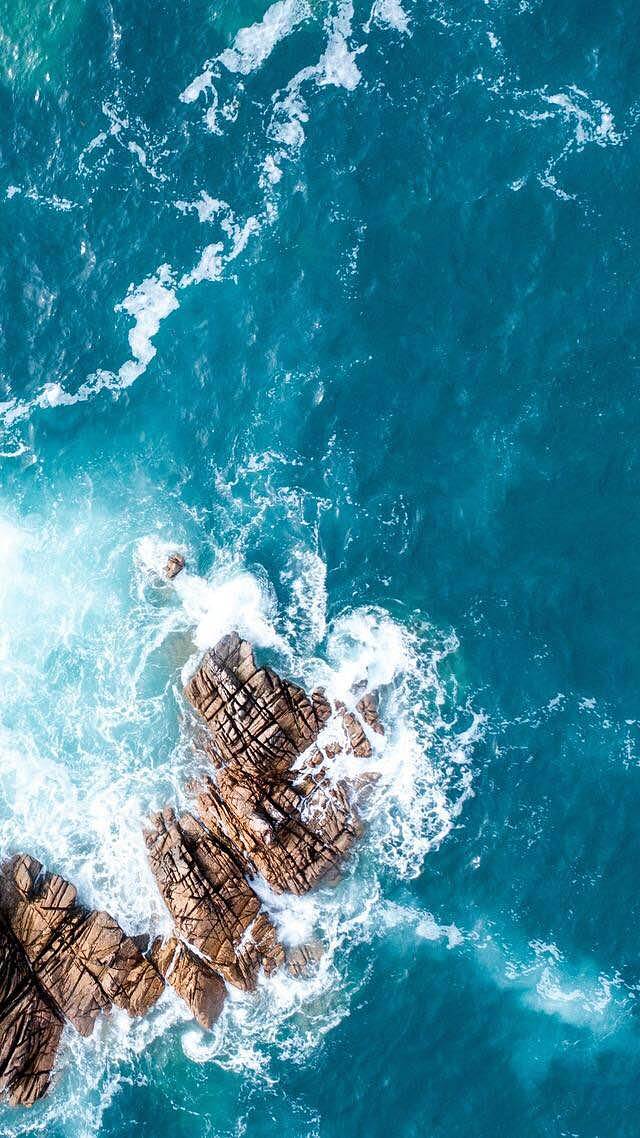 华莱士·炸鸡汉堡(荷花池校区店)