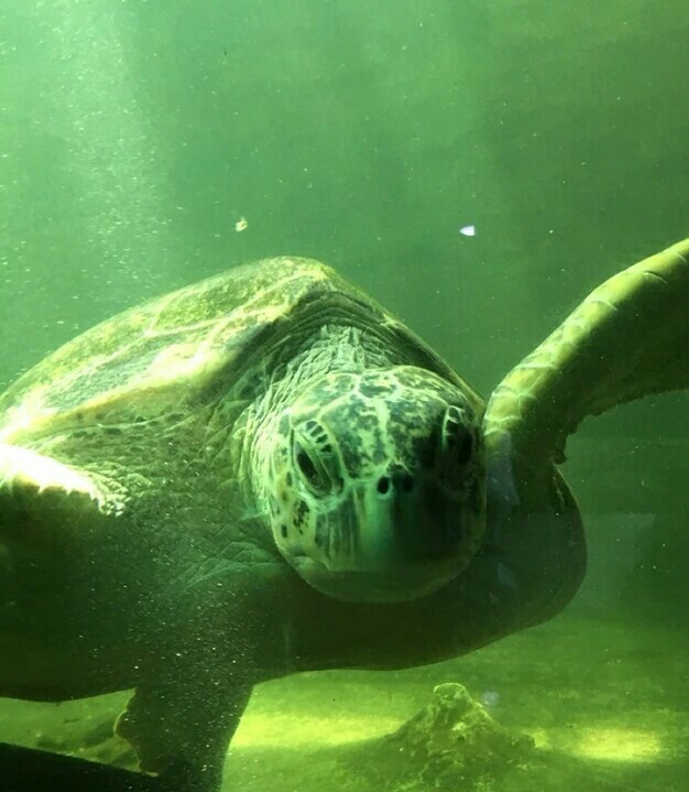 西宁野生动物园海洋馆