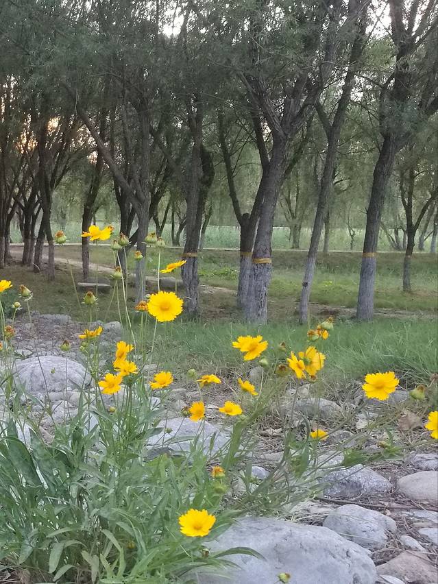 潍河国家水利风景区
