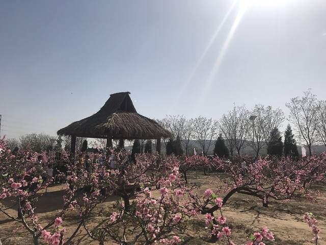 青草坡乡村庄园