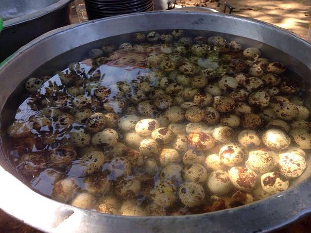 海南天涯热带雨林博物馆