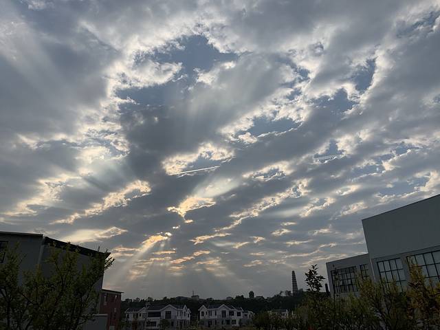 三八全鸡店(昌乐店)