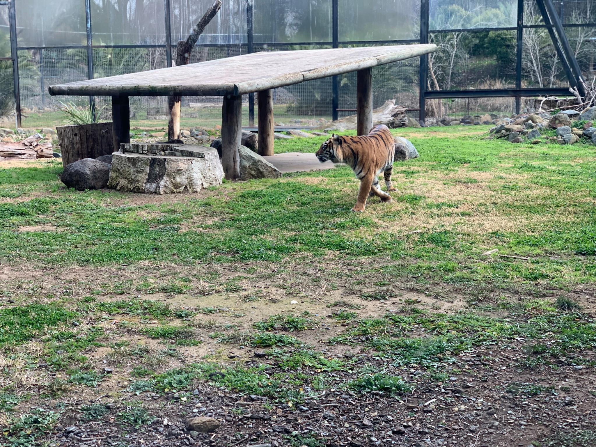 国家动物园及水族馆