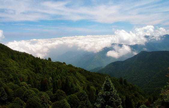 观雾国家森林游乐区旅游景点图片