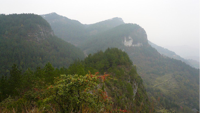 五峰山森林公園旅遊景點圖片