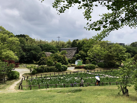 宫地狱神社旅游景点图片