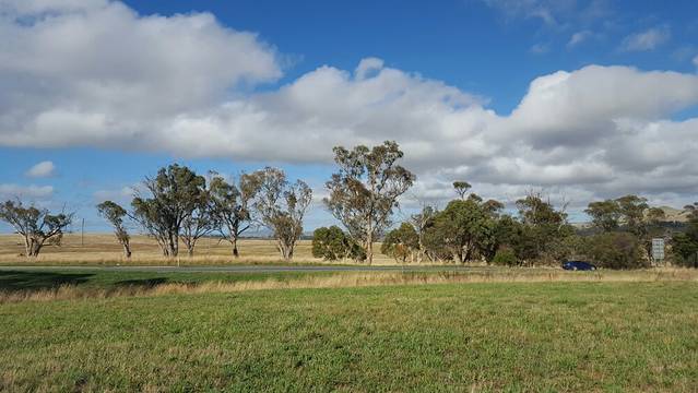 Black Mountain Nature Reserve