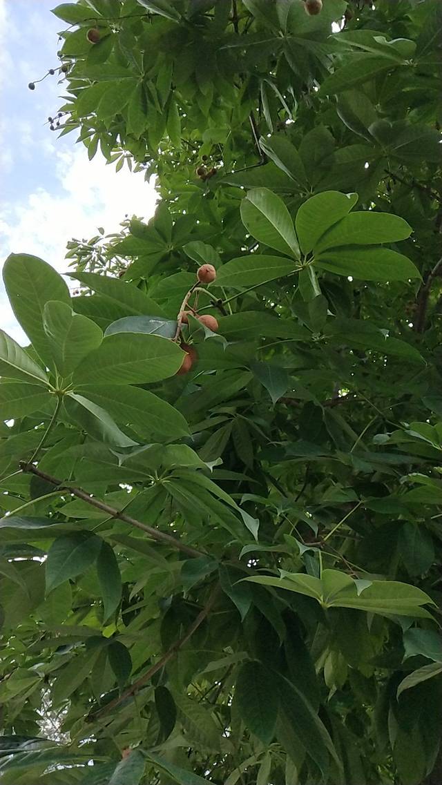 渔阳古街(渔阳北路)