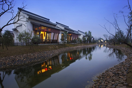 杭州龙坞茶村旅游景点图片