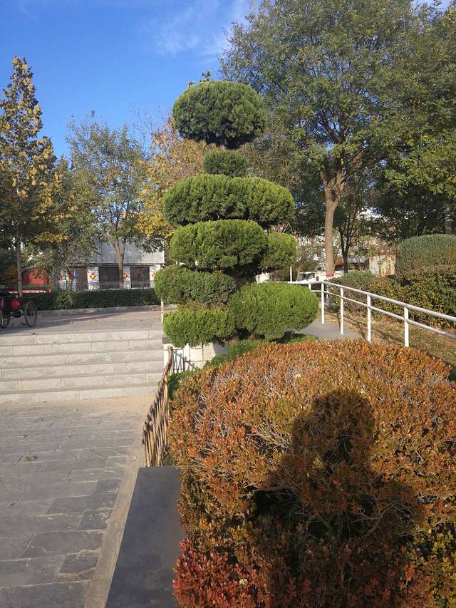 保定卓正国际酒店·凯悦全日制餐厅