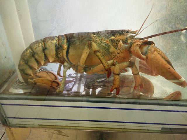 大润发(赣州店)