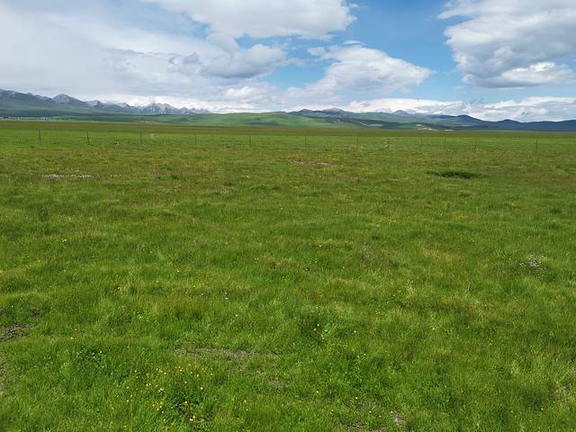 若尔盖湿地自然保护区