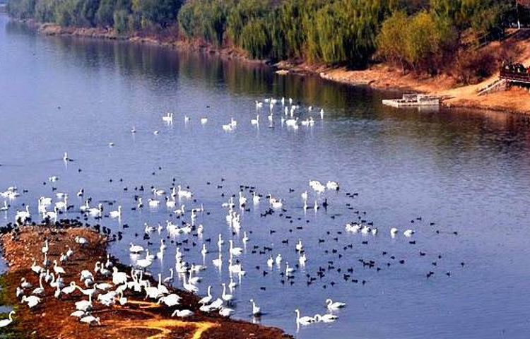 双龙湖湿地公园