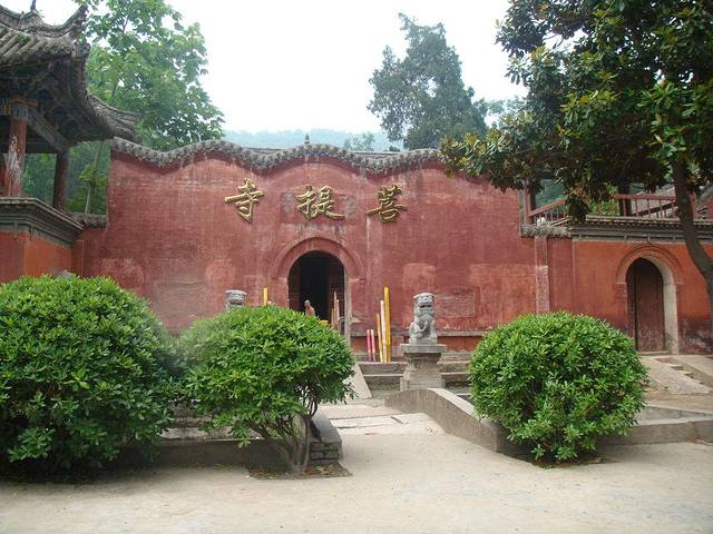 菩提寺森林公园