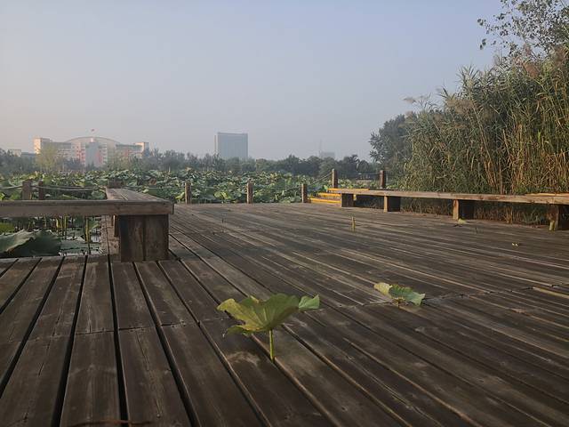 古黄河水景公园