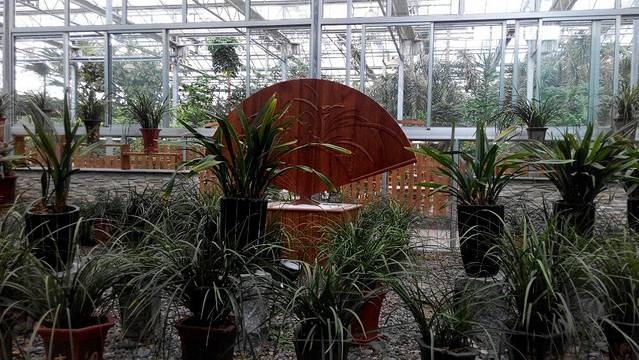 花卉园艺展示馆