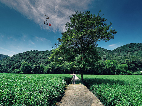 梅家坞村旅游景点图片