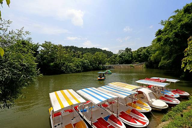 钦州林湖森林公园