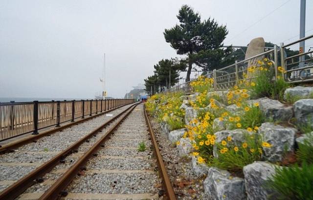 三陟海洋铁路自行车