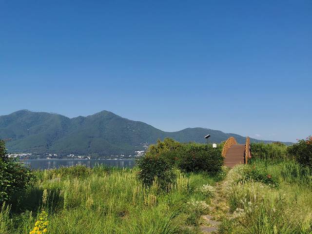 梦寻花海湿地公园