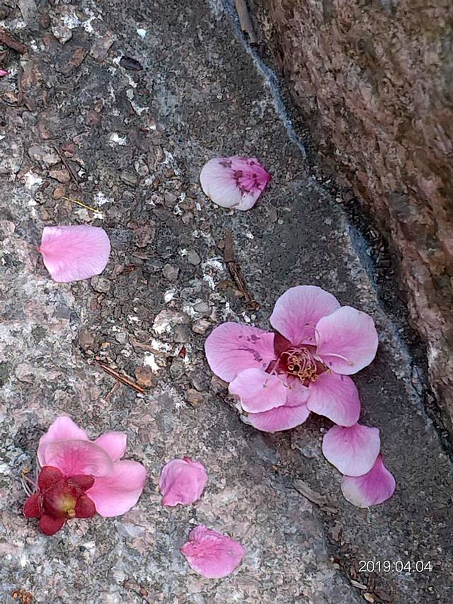 青岛琅琊台风景名胜区-云梯