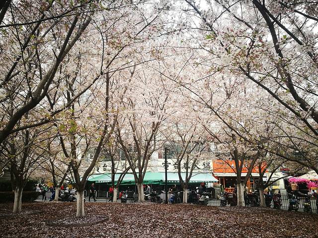 鲁迅公园-鲁迅铜像