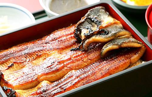 Kanda Kikukawa, Kanda